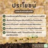 แกลบดิบหมักจุลินทรีย์ สูตร 2