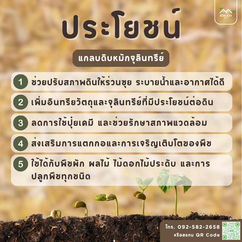 แกลบดิบหมักจุลินทรีย์ สูตร 2