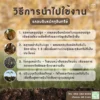 แกลบดิบหมักจุลินทรีย์ สูตร 2