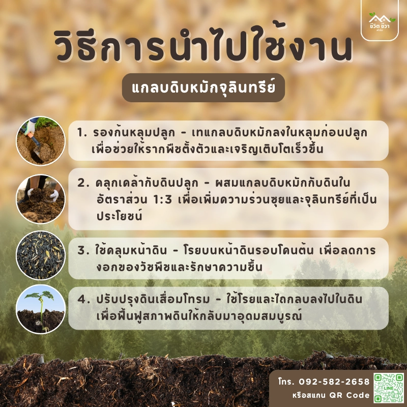 แกลบดิบหมักจุลินทรีย์ สูตร 2