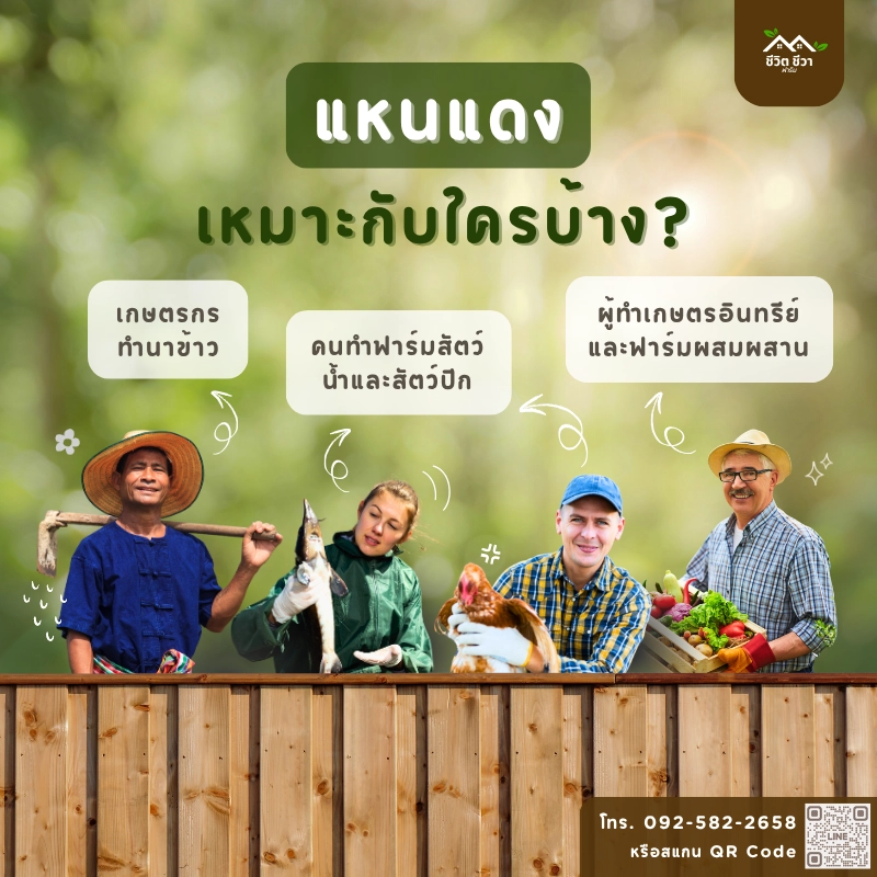 แหนแดงเหมาะกับใครบ้าง