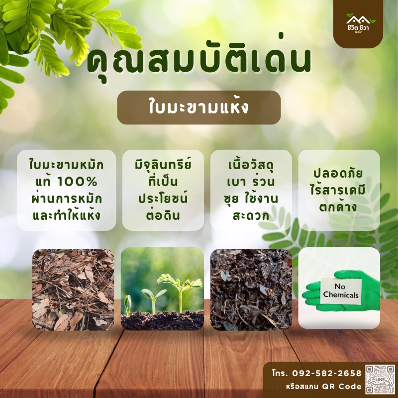 คุณสมบัติ ใบมะขามแห้ง