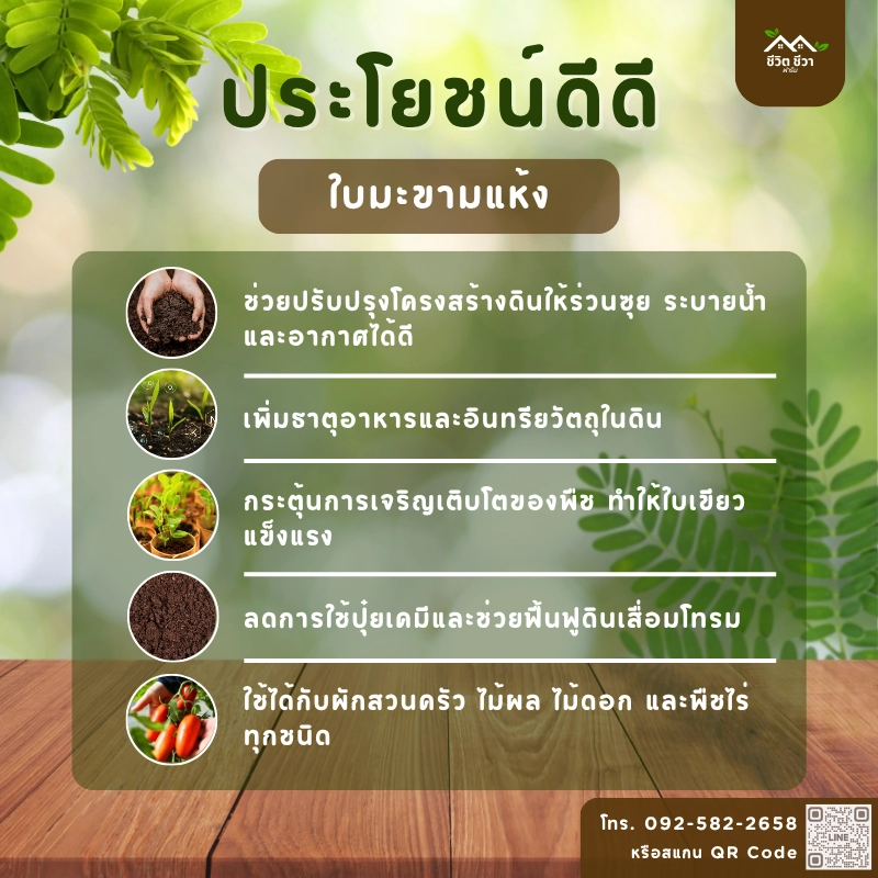 ใบมะขามแห้ง