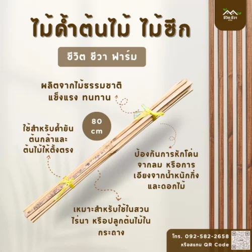 ไม้ค้ำต้นไม้