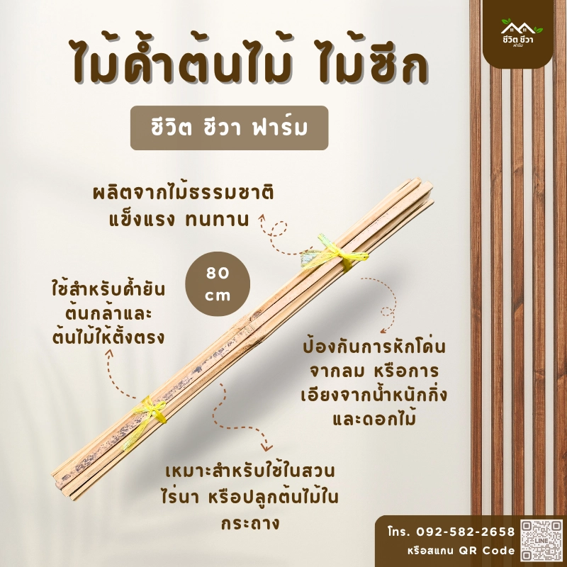 ไม้ค้ำต้นไม้ ไม้ซีก_1 ไม้ค้ำต้นไม้