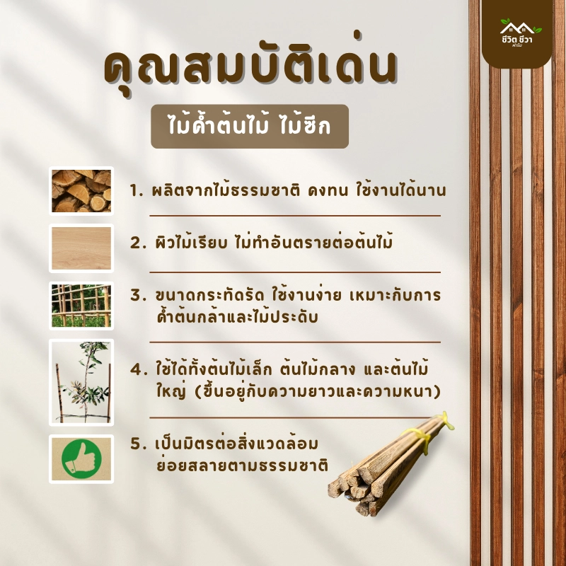 ไม้ค้ำต้นไม้ ไม้ซีก_5 ไม้ค้ำต้นไม้