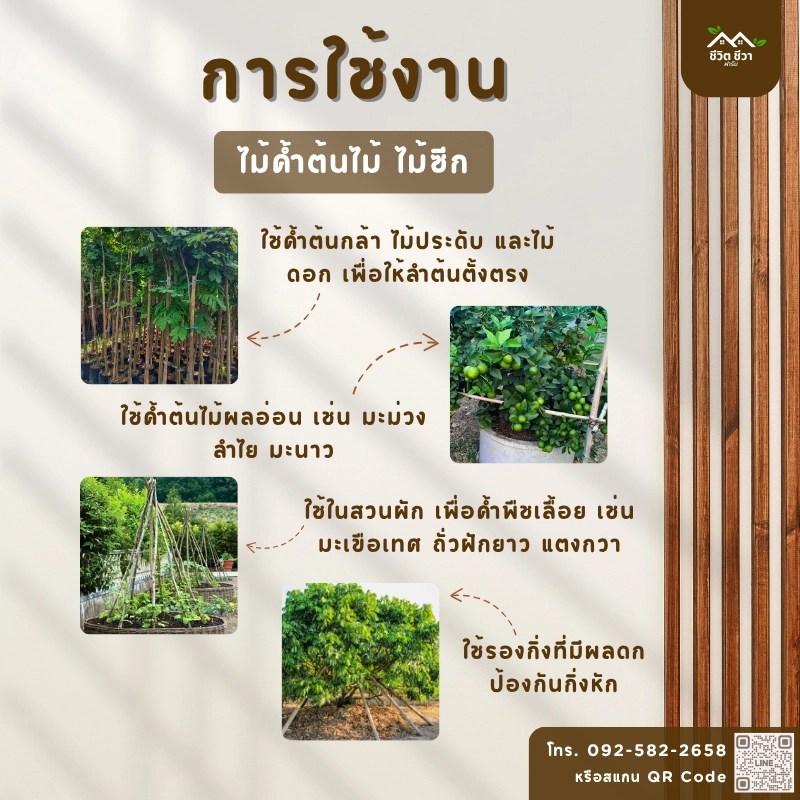 ไม้ค้ำต้นไม้ ไม้ซีก_6 ไม้ค้ำต้นไม้