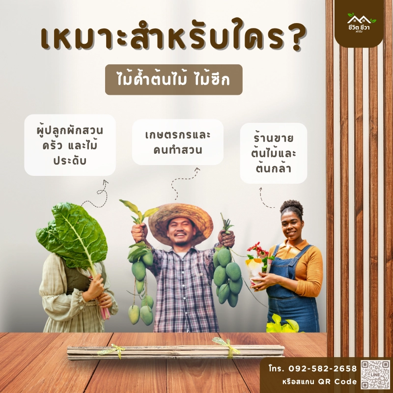 ไม้ค้ำต้นไม้ ไม้ซีก_8 ไม้ค้ำต้นไม้