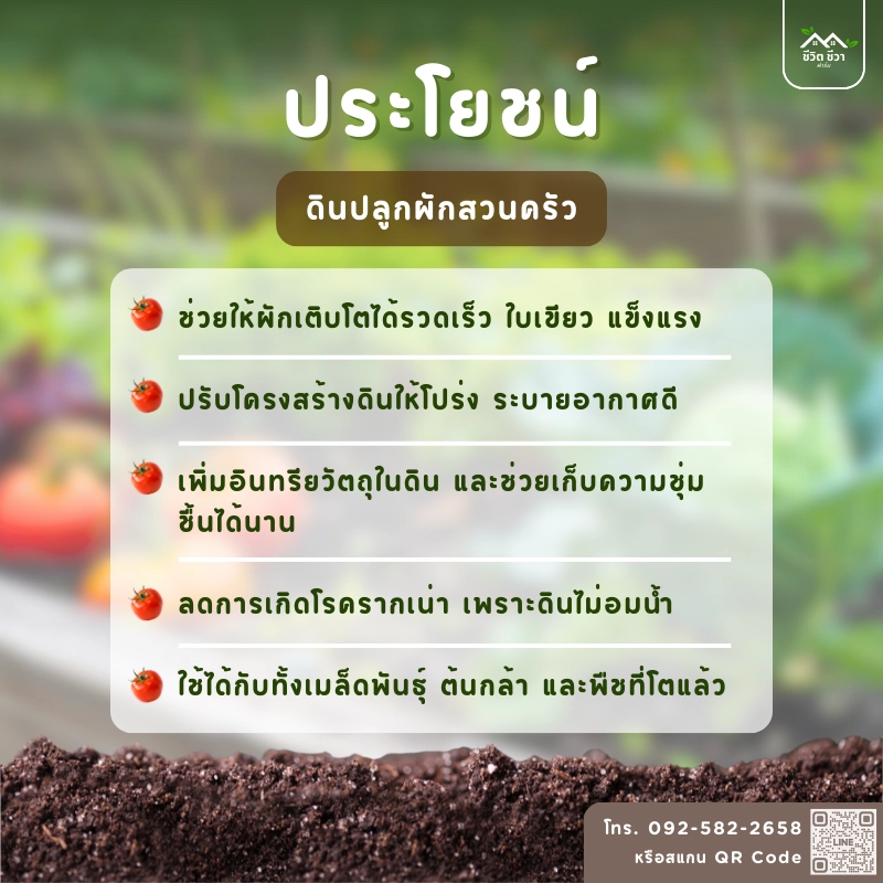 ประโยชน์ ดินปลูกผักสวนครัว