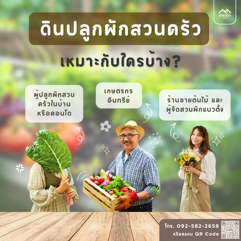 ดินปลูกผักสวนครัว เหมาะกับใคร