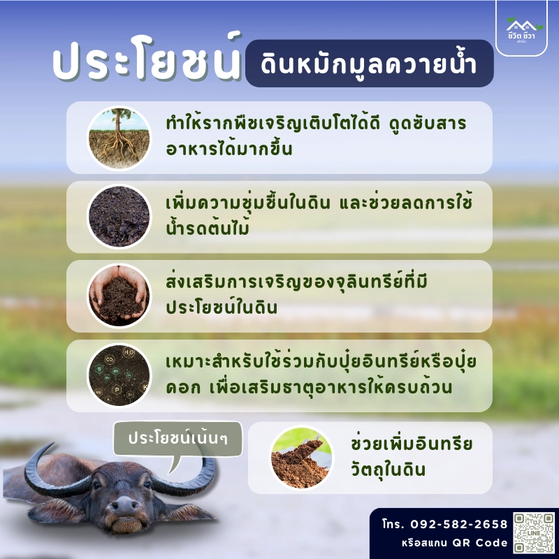 ประโยชน์ของดินหมักมูลควายน้ำ