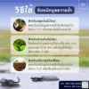 วิธีการใช้งาน ดินหมักมูลควายน้ำ