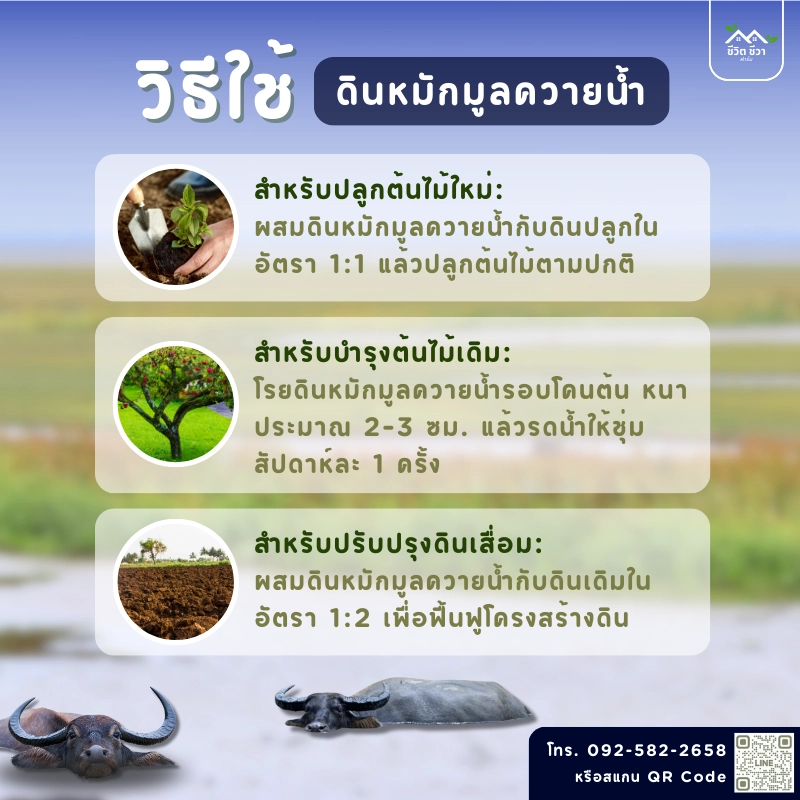 วิธีการใช้งาน ดินหมักมูลควายน้ำ