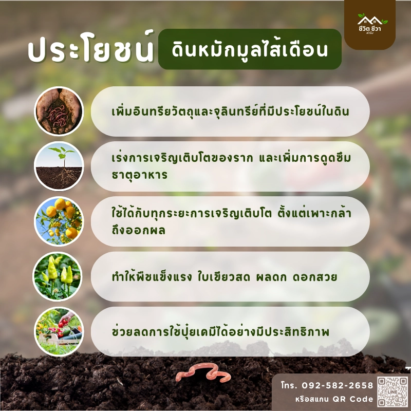 ประโยชน์ ดินหมักมูลไส้เดือน