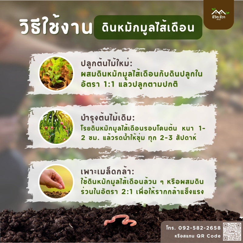 วิธีการใช้งาน ดินหมักมูลไส้เดือน
