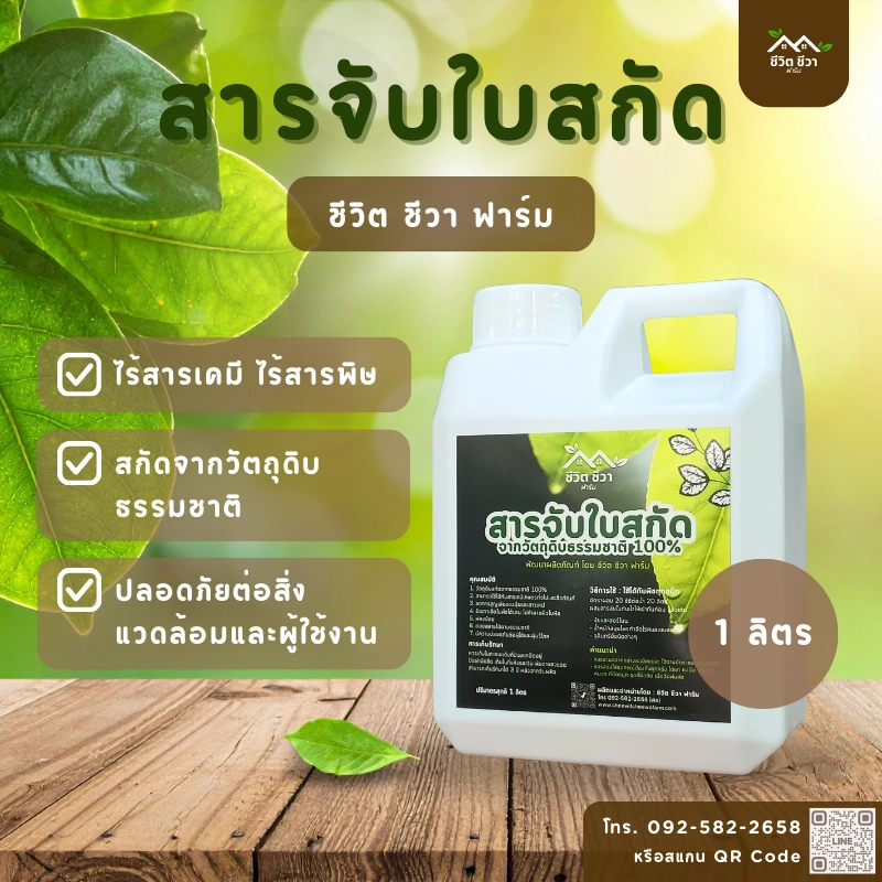 สารจับใบสกัดจากธรรมชาติ_1 สารจับใบ ธรรมชาติ