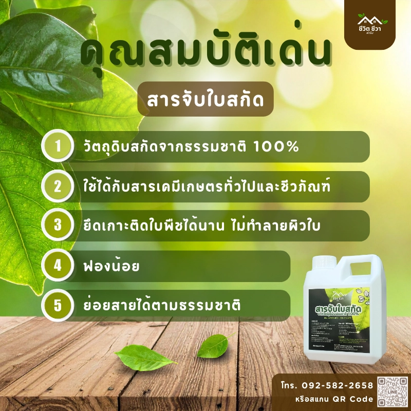 สารจับใบสกัดจากธรรมชาติ_2 คุณสมบัติของสารจับใบ