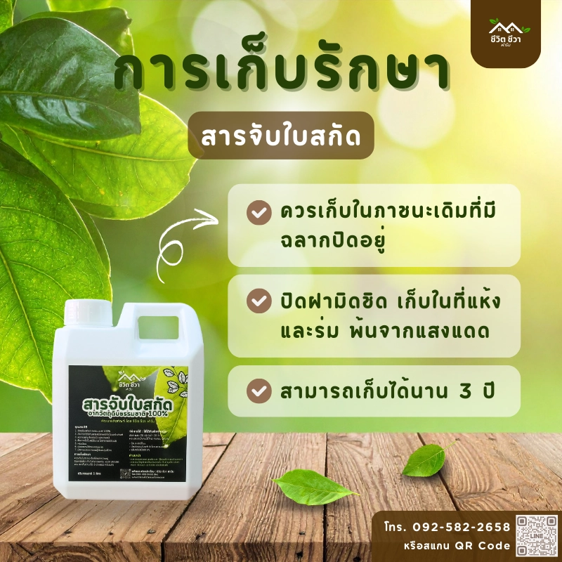 สารจับใบสกัดจากธรรมชาติ_4 วิธีเก็บรักษา สารจับใบ