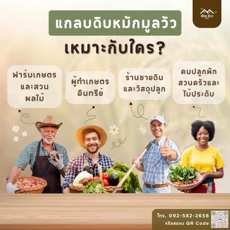 แกลบดิบหมักมูลวัว_6 แกลบดิบหมักมูลวัว เหมาะกับใครบ้าง